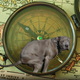 Illustration for article titled Dogs align their bodies along a North-South axis when they poop